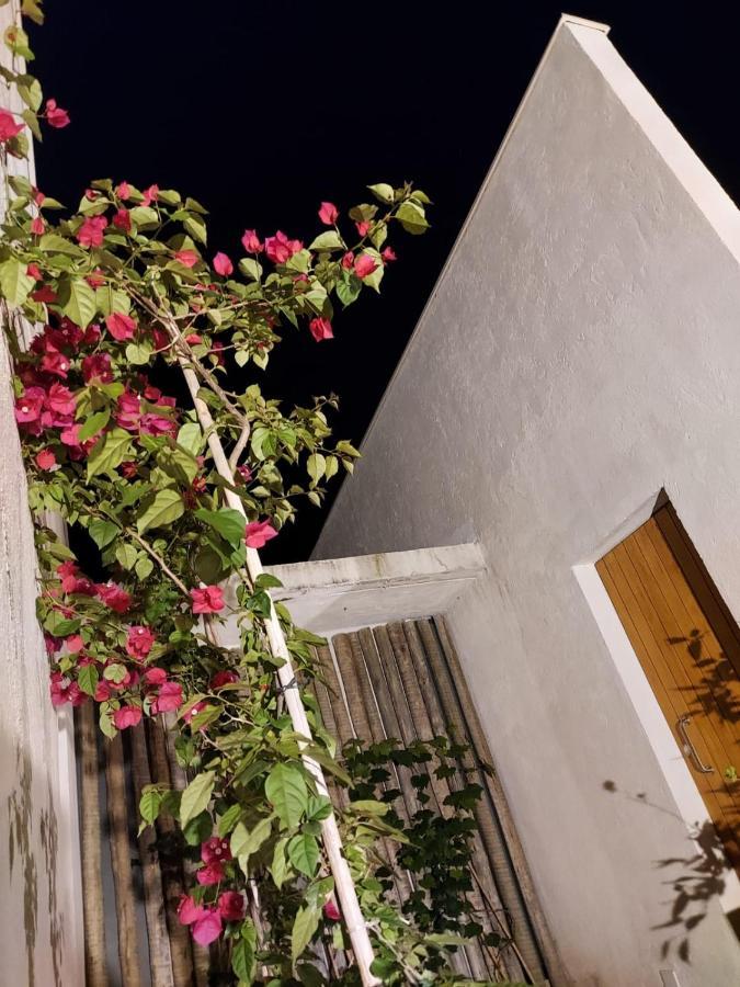 Alto Paraíso de Goiás Statera Host 빌라 외부 사진